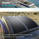 Panel solar monocristalino ligero Renogy Black Division de 100 vatios y 12 voltios