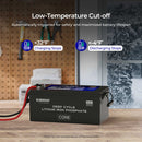 Renogy Deep Cycle 24V 200Ah Core lithium battery with self-heating function