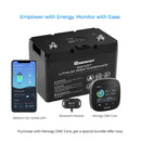 Batería de litio inteligente Renogy de 12 V y 100 Ah y módulo RENOGY one core y BT-2