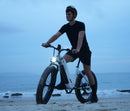 CycVerve All-terrain Electric Bike