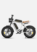 Bicicleta eléctrica ENGWE M20