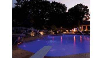 Pentair MicroBrite Color Pool and Spa LED Light | 12V 100 ft Cord