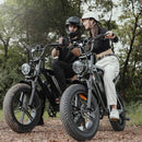 CycHunter Moped Electric Bike