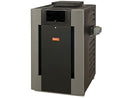 Calentador de piscina a gas propano Raypak de 360 000 BTU con encendido digital (P-R406A-EP-X)