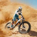 CycVerve All-terrain Electric Bike