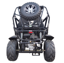 TrailMaster Cheetah 200EX EFI Go Kart CVT Automatic with Reverse, Alloy Wheels, Windshield