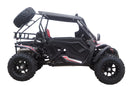 TrailMaster Cheetah 300Pro EFI Deluxe UTV Go Kart, Shaft Drive, Liquid Cooled CVT Auto with Reverse, Side Doors, Hard Top, Windshield, LED Light Bar
