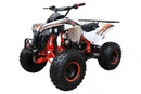 Coolster (3125B2) 125cc Sport ATV, Electric Start, Automatic with Reverse, 8-inch Steel Wheels, Ages 9-12