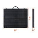 Rich Solar MEGA 200 Portable Briefcase Solar Panel