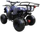 Mini 125cc Utility Style ATV, Electric Start, Automatic with Reverse, 7-inch Wheels, Ages 9-12