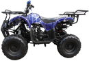 Mini 125cc Utility Style ATV, Electric Start, Automatic with Reverse, 7-inch Wheels, Ages 9-12