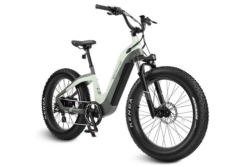 Grace Step-Thru Electric Bike| Free Shipping Wellbots