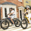 CYCROWN Roma All-Terrain Ebike