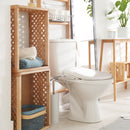 Asiento de inodoro con bidé de lujo Brondell Swash Thinline T44 con control remoto
