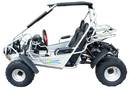 TrailMaster 300E XRS (EFI) Dune Buggy Go Kart, Liquid Cooled, Chain Drive