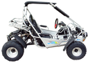 TrailMaster 300E XRS (EFI) Dune Buggy Go Kart, Liquid Cooled, Chain Drive
