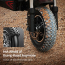 iScooter iX8 Off-Road Tires Electric Scooter