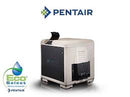 Calentador de piscina Pentair MasterTemp 125 de bajo NOx con cable a gas natural - 125 000 BTU