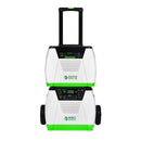 Nature's Generator - Platinum System