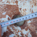 Natural Stone Tiger Marble Vessel Sink Polished D: 16" H: 6"