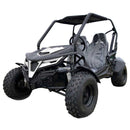 TrailMaster Cheetah 200 Full Size Buggy Go Kart, CVT Automatic with Reverse