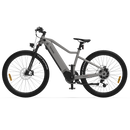 5th Wheel Torrent 1 City Commuter Cruiser eBike