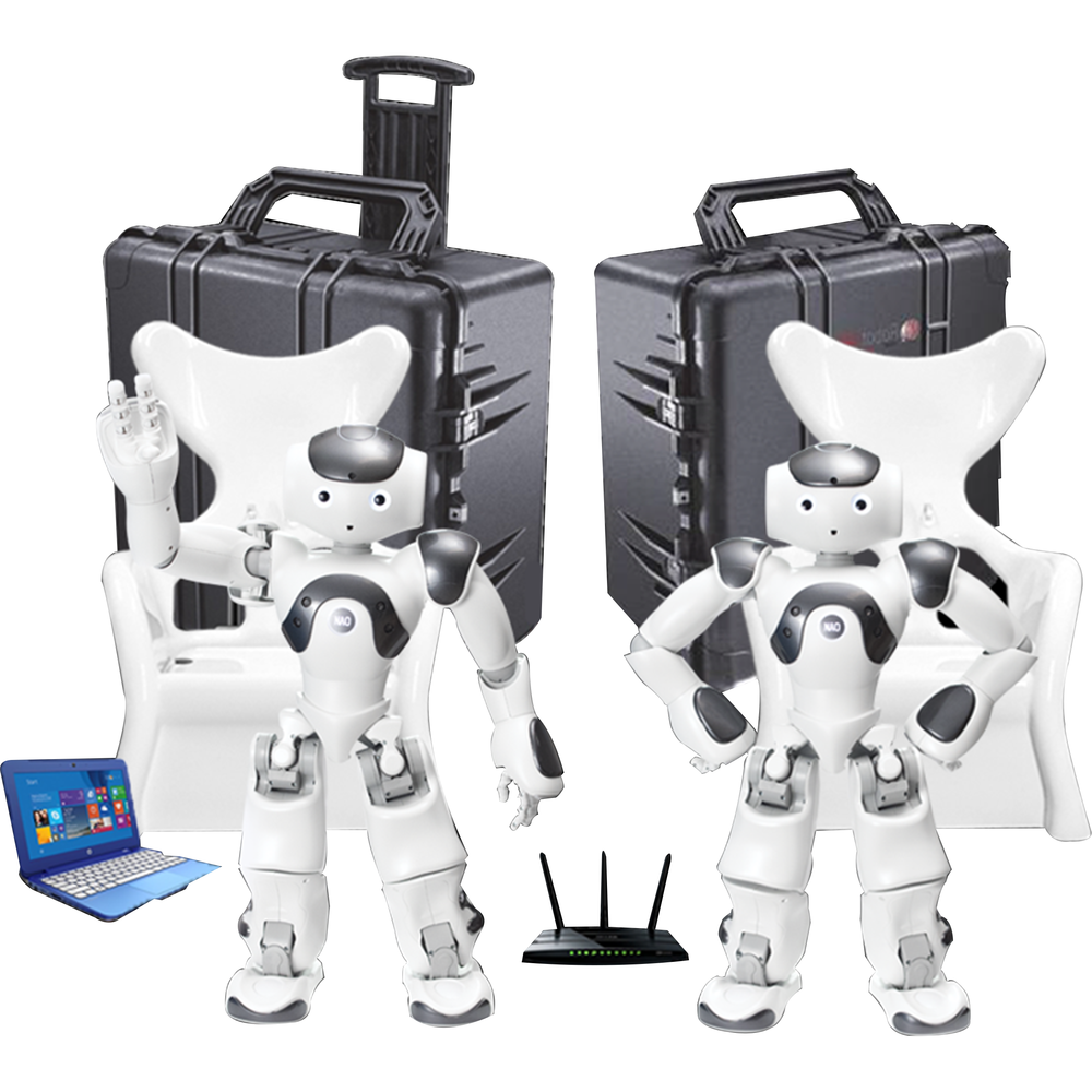 Softbank robotics hot sale nao