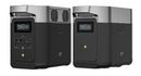 EcoFlow DELTA 2 Portable Power Station + FREE RAPID 5000 (for standalone unit only)