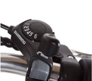 NAKTO City 26" CAMEL, Electric Bike / Wellbots