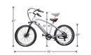 NAKTO Santa Monica 26", 500W Electric Bike / Wellbots