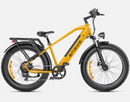 Bicicleta eléctrica ENGWE E26
