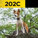 Dogtra 202C 2 - Dog Remote Training E-Collar System Pets Dogtra