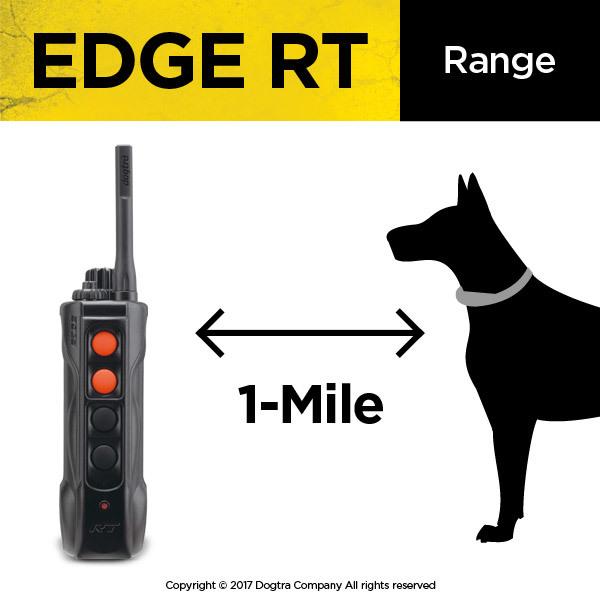 Dogtra Edge RT Remote Training Collar Pets Dogtra
