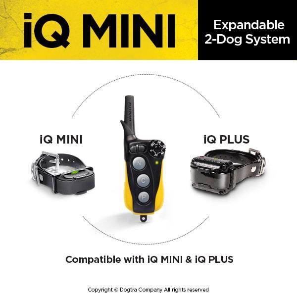 DOGTRA IQ-MINI Dog Training collar Pets Dogtra