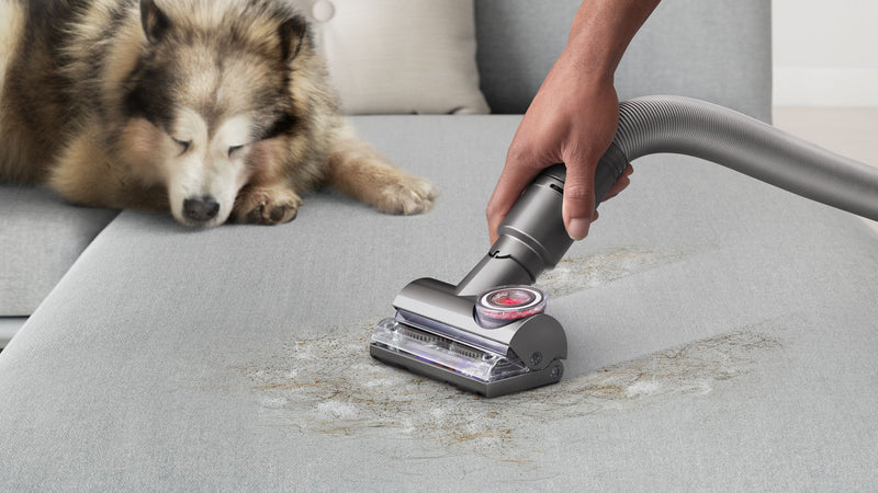 Dyson Ball Animal 3 Extra De-Tangling Vacuum + Grooming For Homes & Pets, Pet Products, Pet, Pets, Feeders, Collars