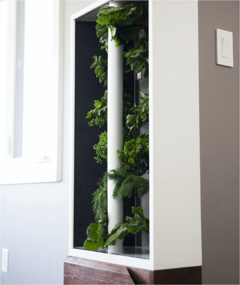 Just Vertical The Eve Indoor Hydroponic Garden w/ see pods