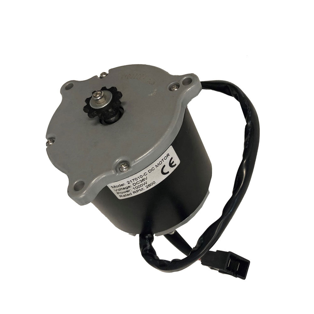 MotoTec Pro Dirt Bike 36v 1000w Motor Wellbots