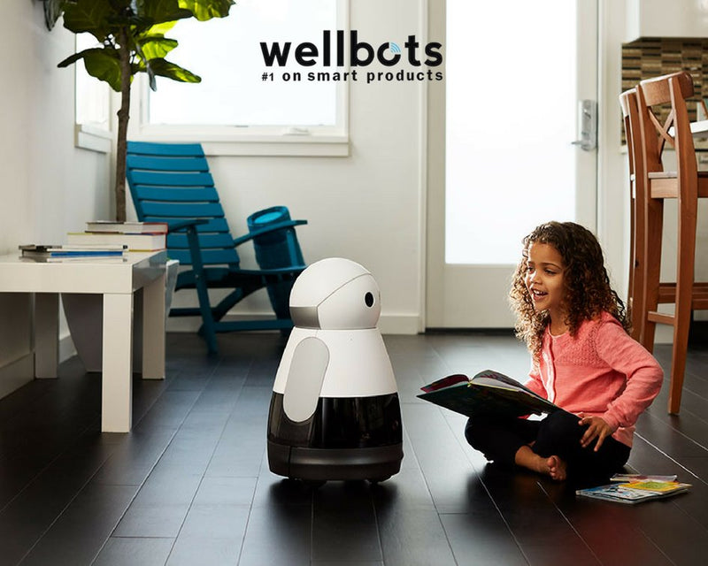 The Wonders of Companion Robots: Our Future “Friends”