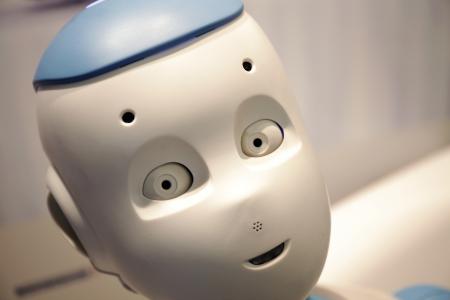 Companion Robots And The Elderly