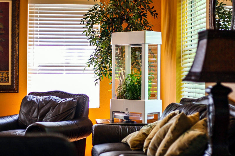 5 Tips for Growing a Luscious Indoor Garden With Smart Tech