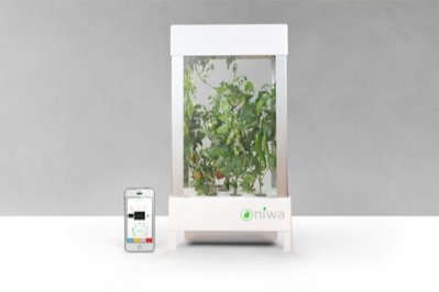Top 6 Gadgets for the Ultimate Smart Home