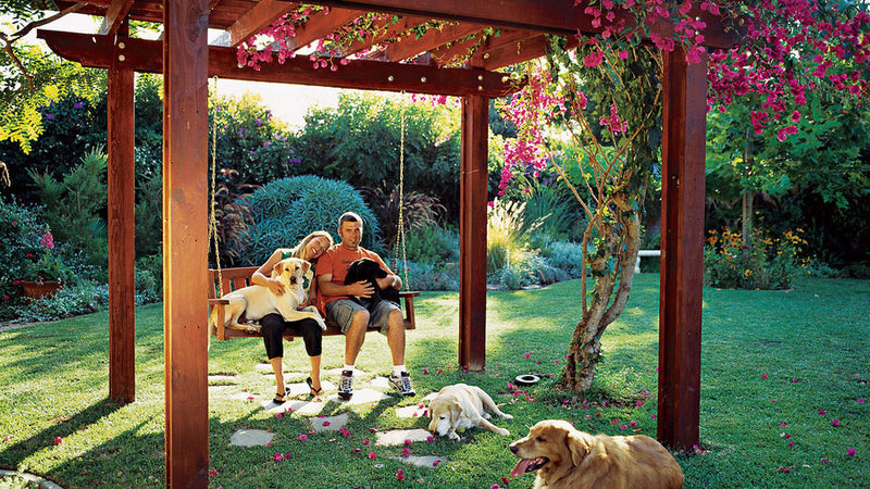 How to Create a Dog-Friendly Backyard