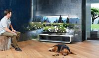 How will be the TV of the Future?
