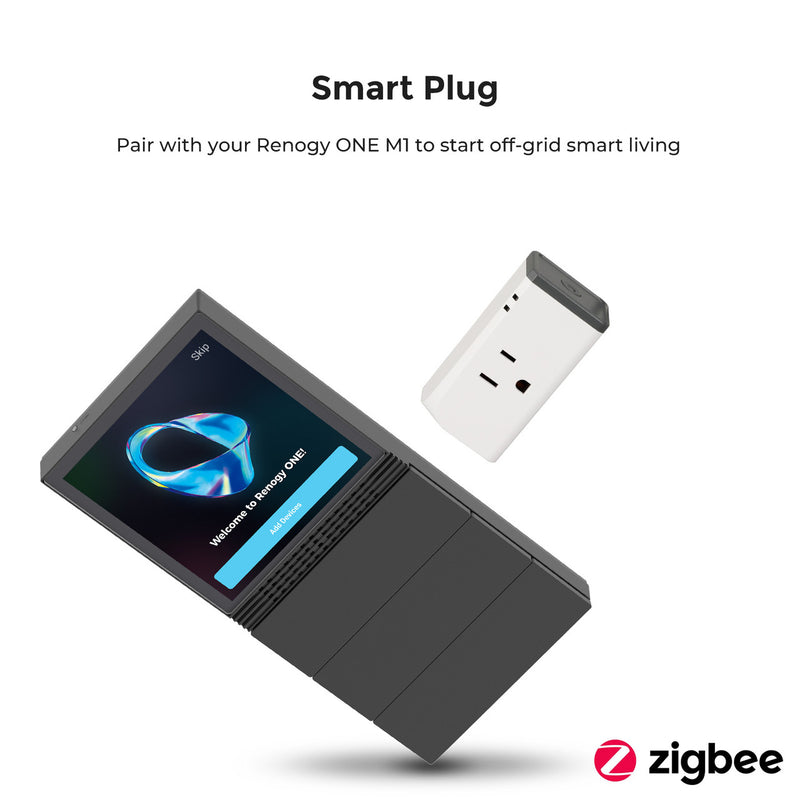 Renogy Zigbee Smart Plug US Type,without meter
