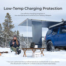 Controlador de carga solar MPPT de 20 amperios Renogy Rover Li