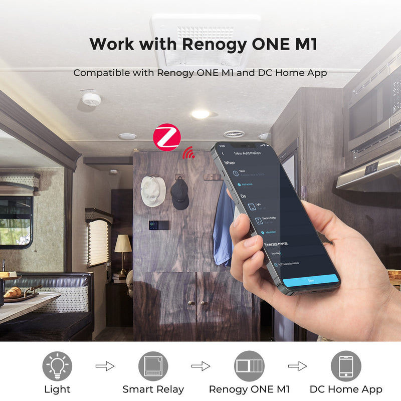 Renogy Zigbee Smart Relay,8-30V,250VAC/30VDC,16A
