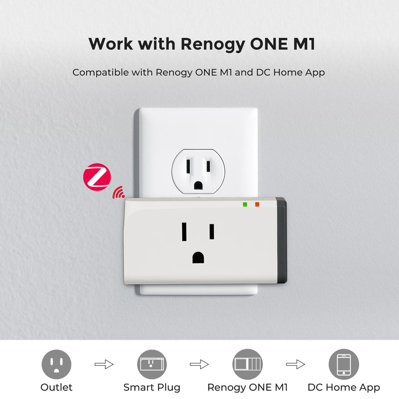 Renogy Zigbee Smart Plug US Type,without meter