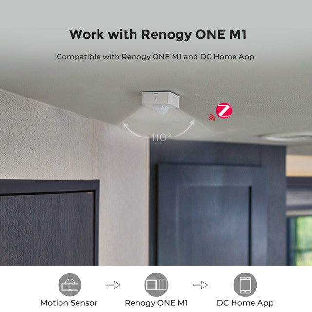 Renogy Zigbee Motion Sensor