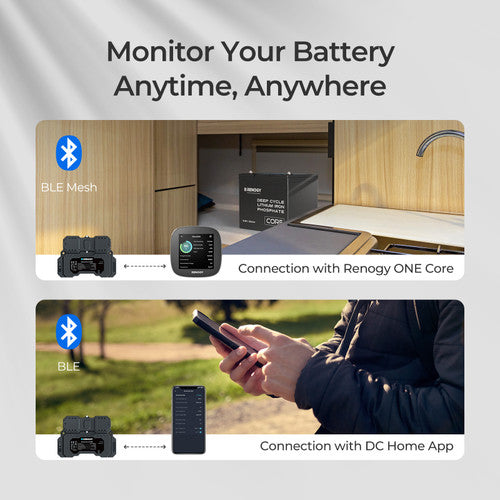 Renogy Battery Shunt 300 with Bluetooth