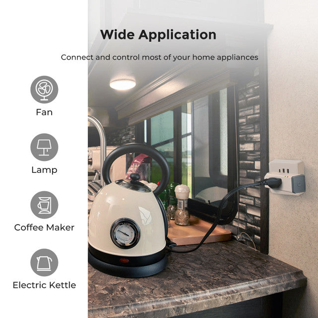 Renogy Zigbee Smart Plug US Type,without meter